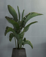 LE GIARE BLUE rect. 30x90 cm - Slika 2
