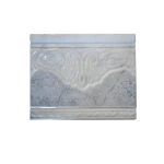 LIS_PLASENCIA_AZUL_20X25